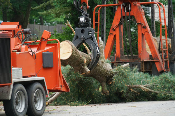 Best Tree Cutting Near Me  in Fairland, OK